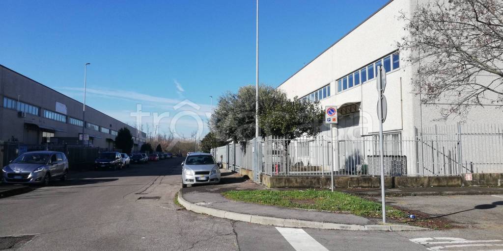 immagine annuncio 2 di 15