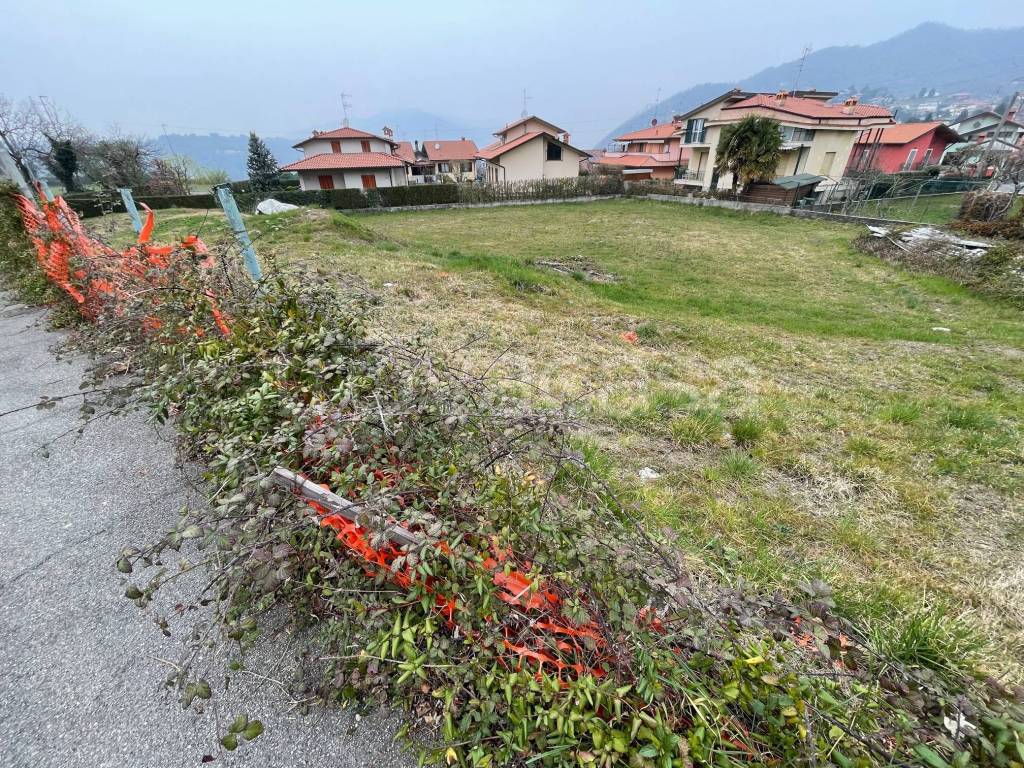 immagine annuncio 1 di 7