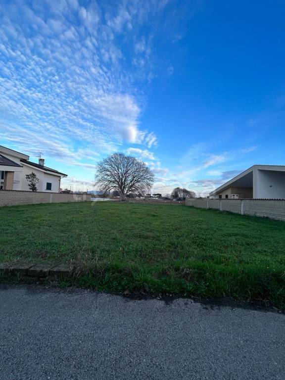 immagine annuncio 7 di 14