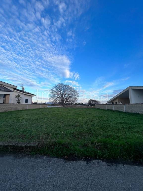 immagine annuncio 11 di 14