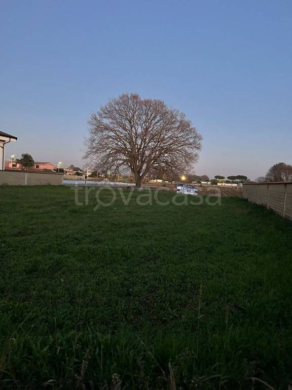 immagine annuncio 4 di 14