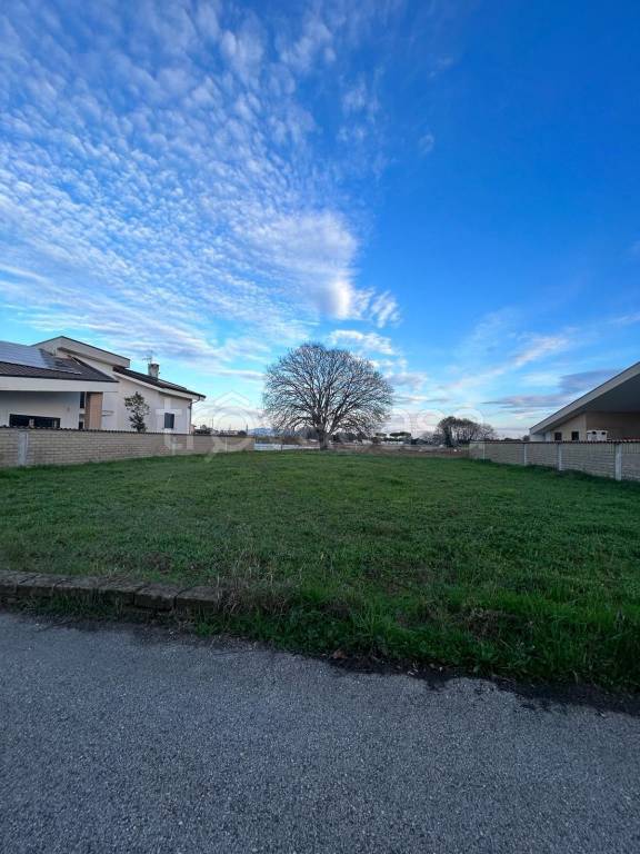 immagine annuncio 10 di 14