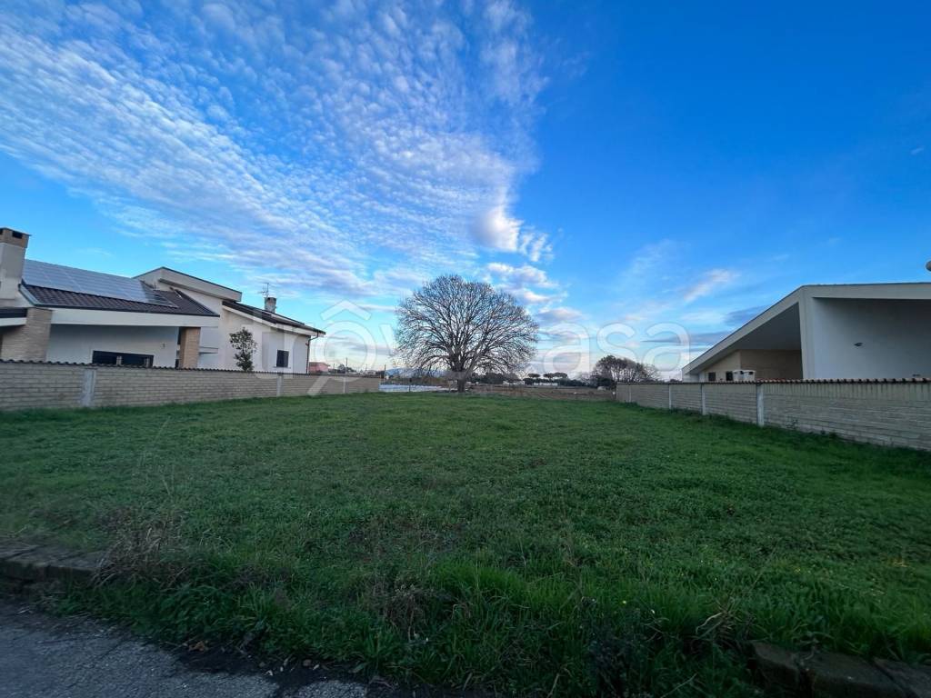 immagine annuncio 12 di 14