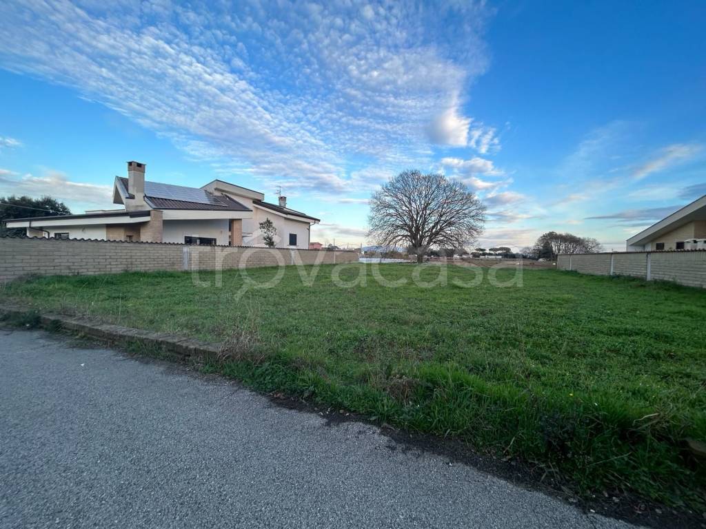 immagine annuncio 2 di 14