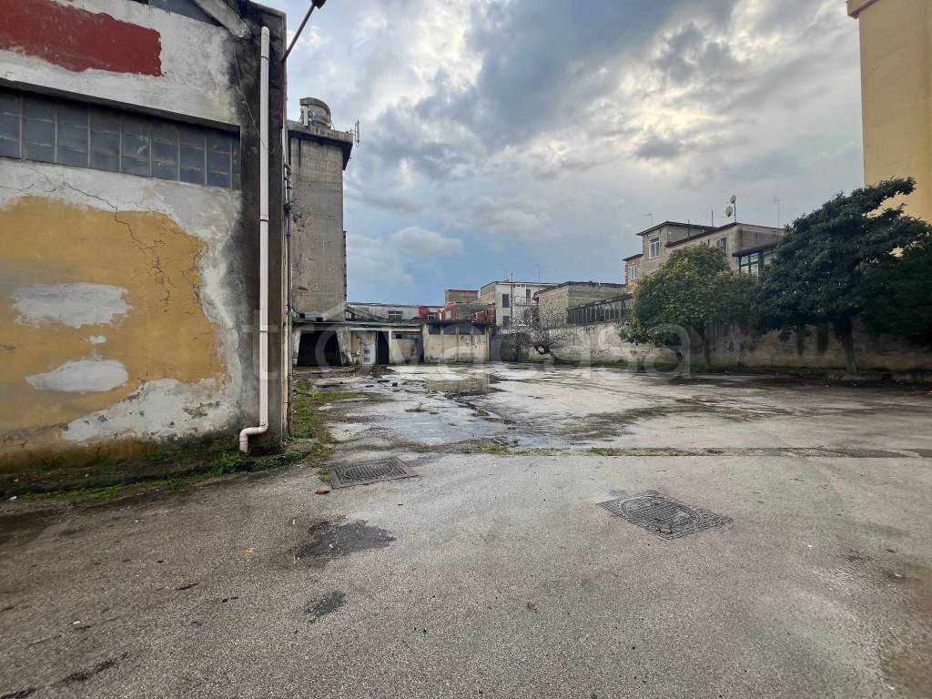 immagine annuncio 4 di 7