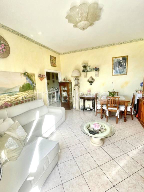 Appartamento in in vendita da privato a Rosignano Marittimo via Gorizia, 17