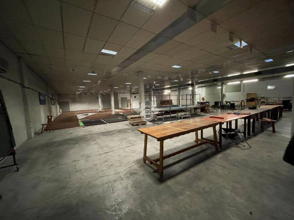 immagine annuncio 1 di 12