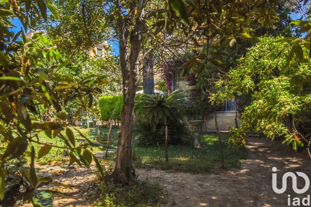 immagine annuncio 6 di 8