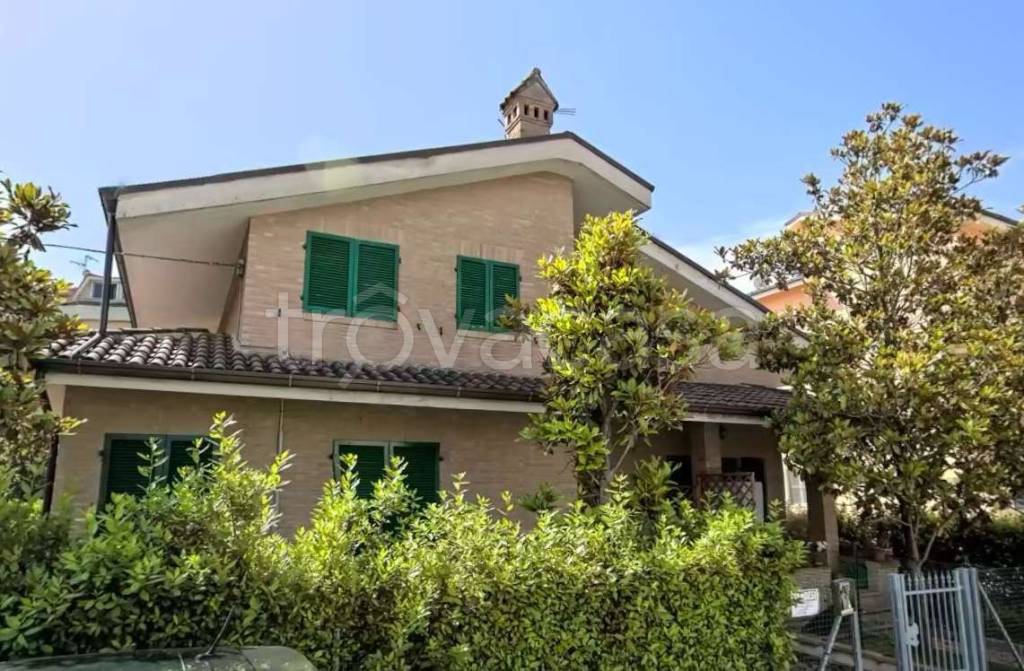 immagine annuncio 1 di 4