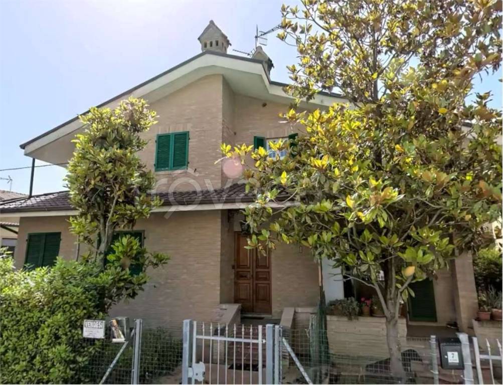 immagine annuncio 2 di 4