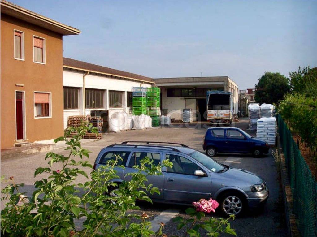 immagine annuncio 1 di 6