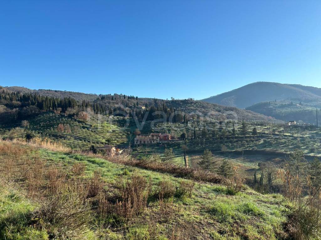 immagine annuncio 3 di 7