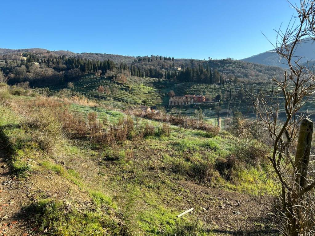 immagine annuncio 6 di 7