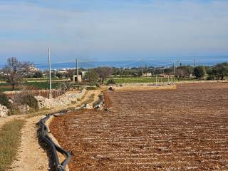 Terreno agricolo in vendita a polignano a mare strada comunale lama del fragnaro