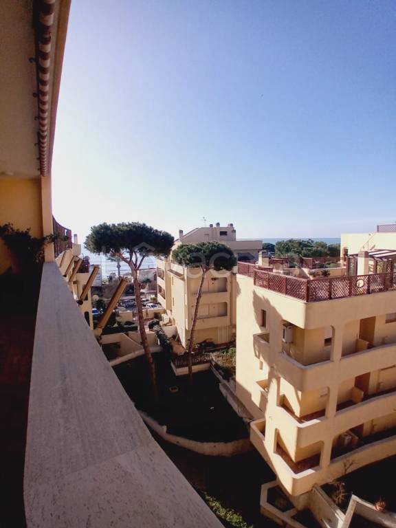 immagine annuncio 9 di 14
