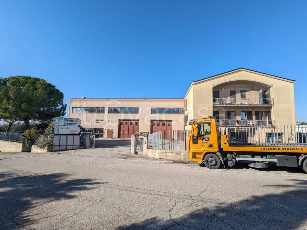 Capannone Industriale in in affitto da privato a Osimo via Molino Basso, 2a