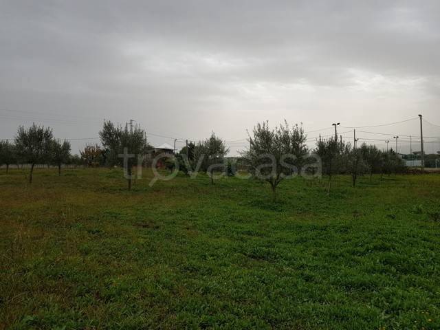 Terreno Agricolo in vendita a Lamezia Terme sp163/2