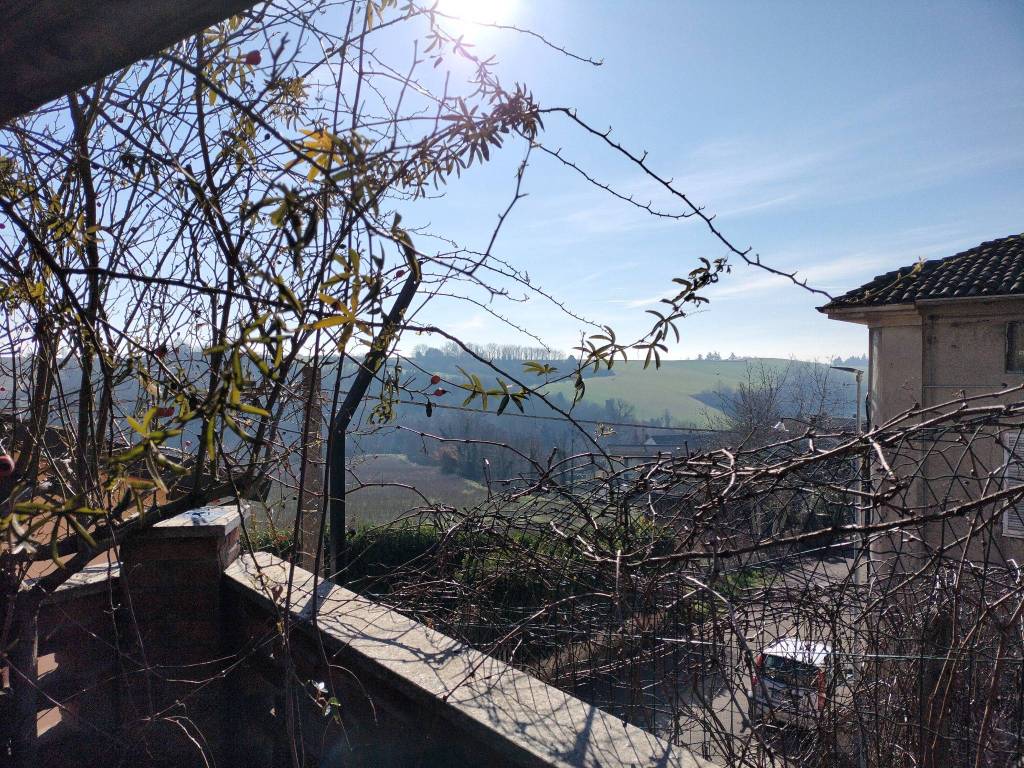 immagine annuncio 9 di 14