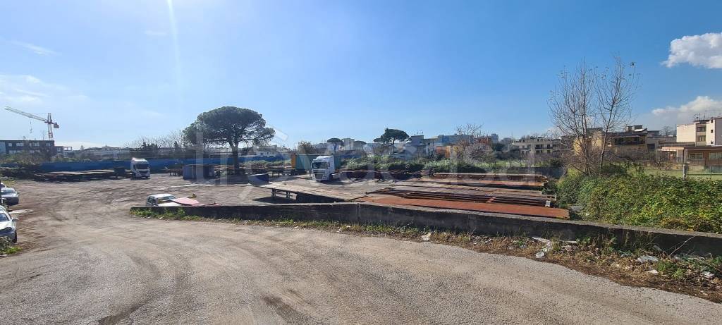 immagine annuncio 1 di 12