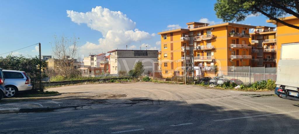 immagine annuncio 3 di 12