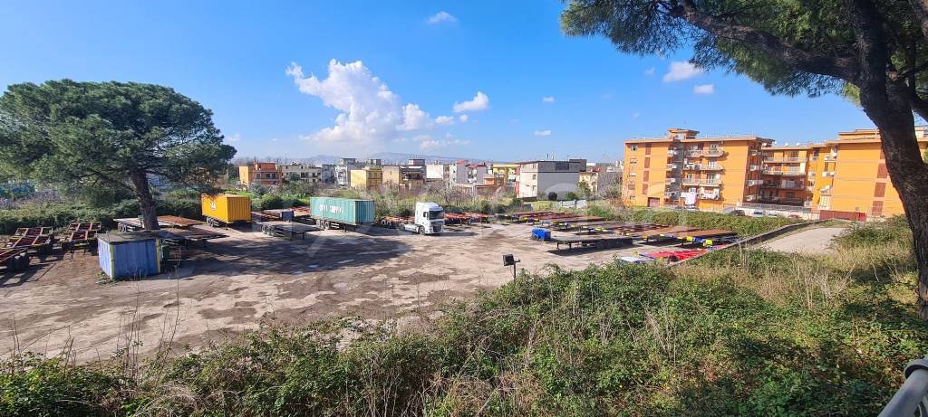 immagine annuncio 8 di 12
