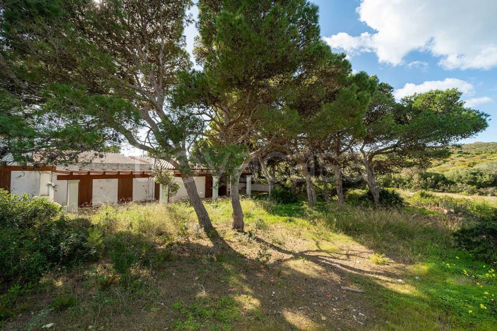 Villa Bifamiliare in vendita a Carloforte sp102