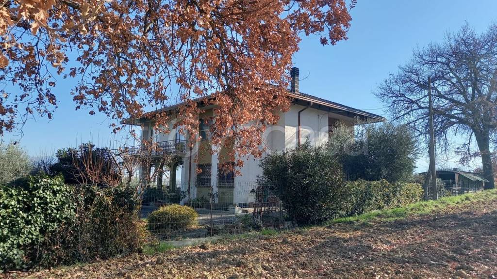 immagine annuncio 9 di 11