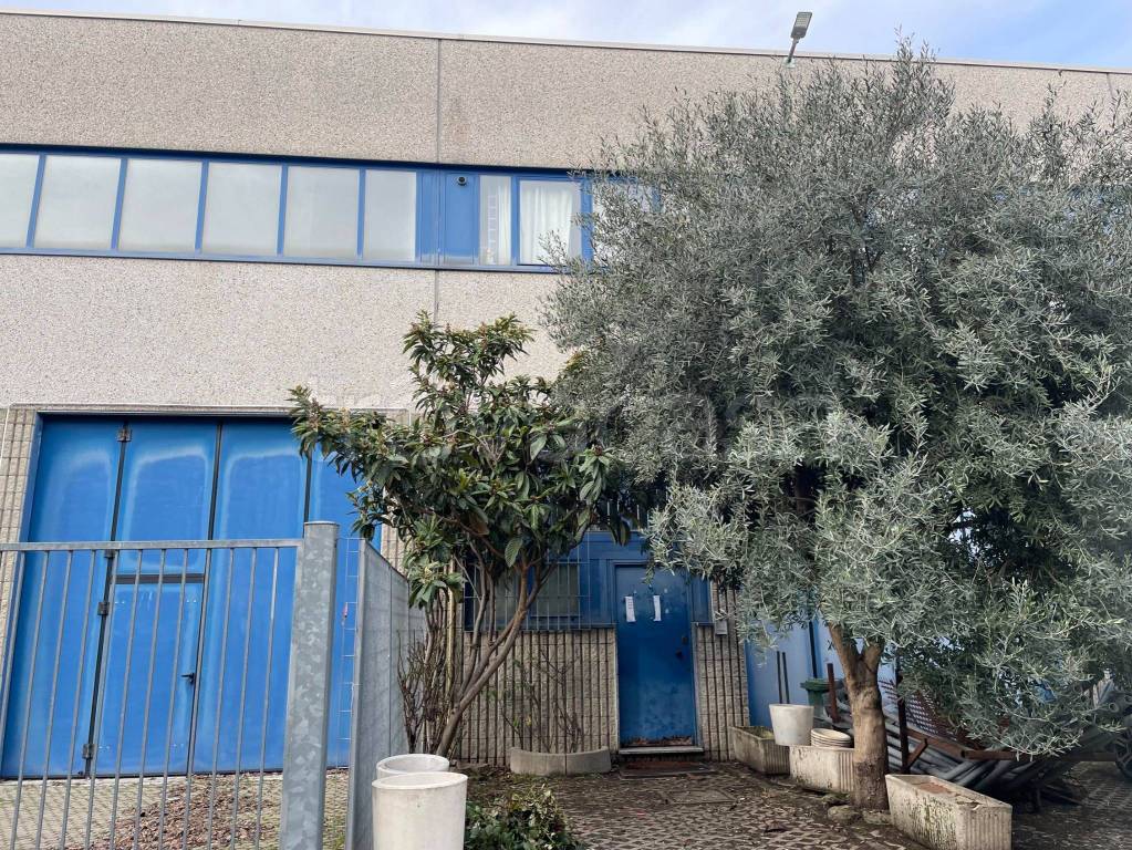 immagine annuncio 11 di 14