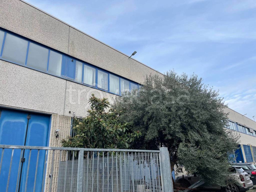 immagine annuncio 13 di 14