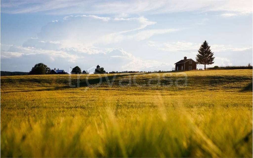 Terreno Agricolo in vendita a Zenson di Piave