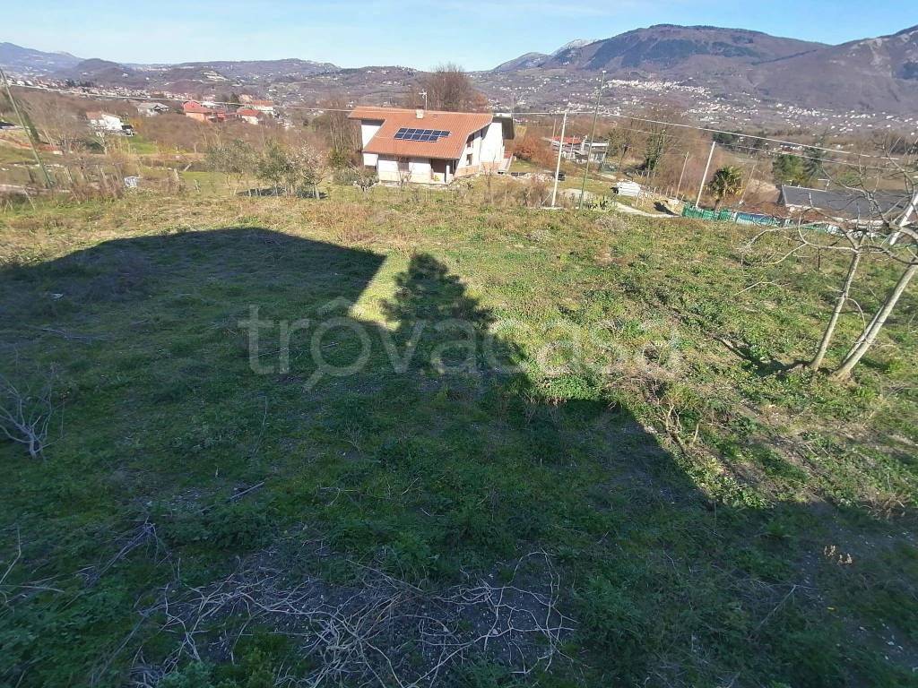 immagine annuncio 4 di 8