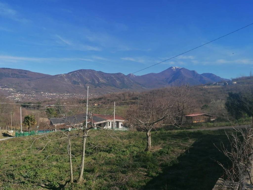 immagine annuncio 7 di 8