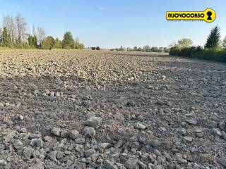 Terreno agricolo in vendita a rovigo 