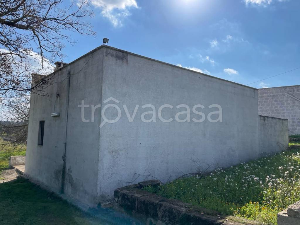 immagine annuncio 11 di 13