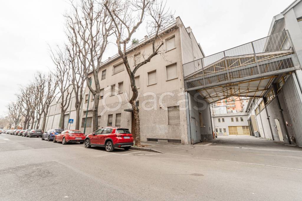 immagine annuncio 6 di 15