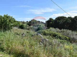 Terreno agricolo in vendita a bolognetta contrada grassurelle, snc