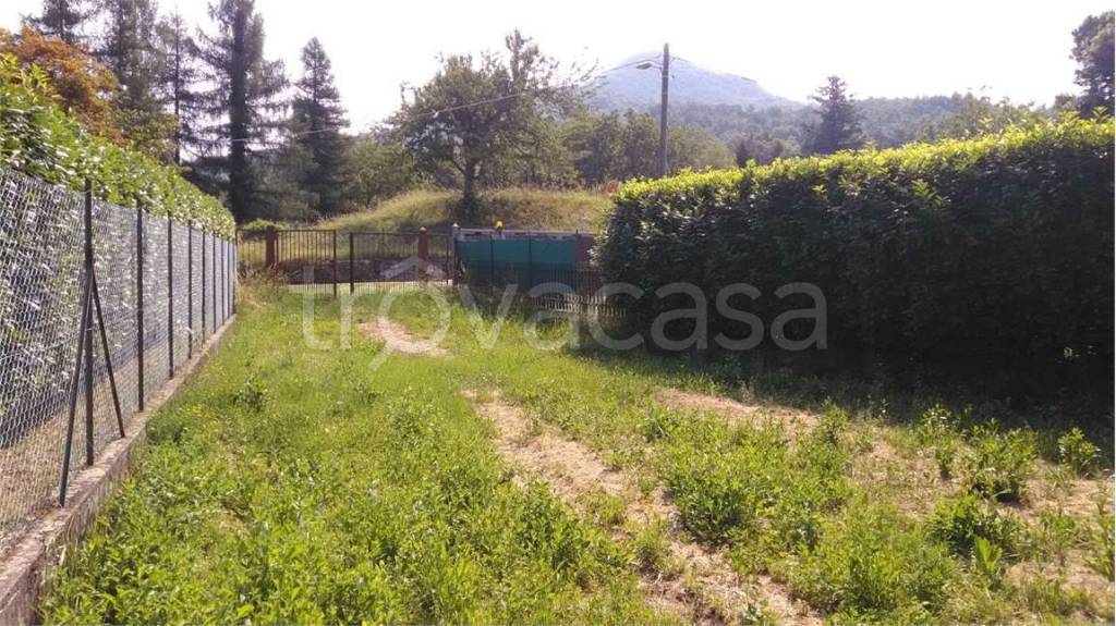 immagine annuncio 6 di 12
