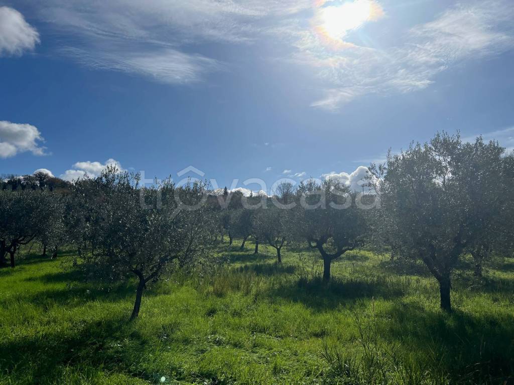 immagine annuncio 9 di 14