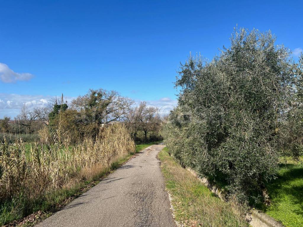 immagine annuncio 5 di 14