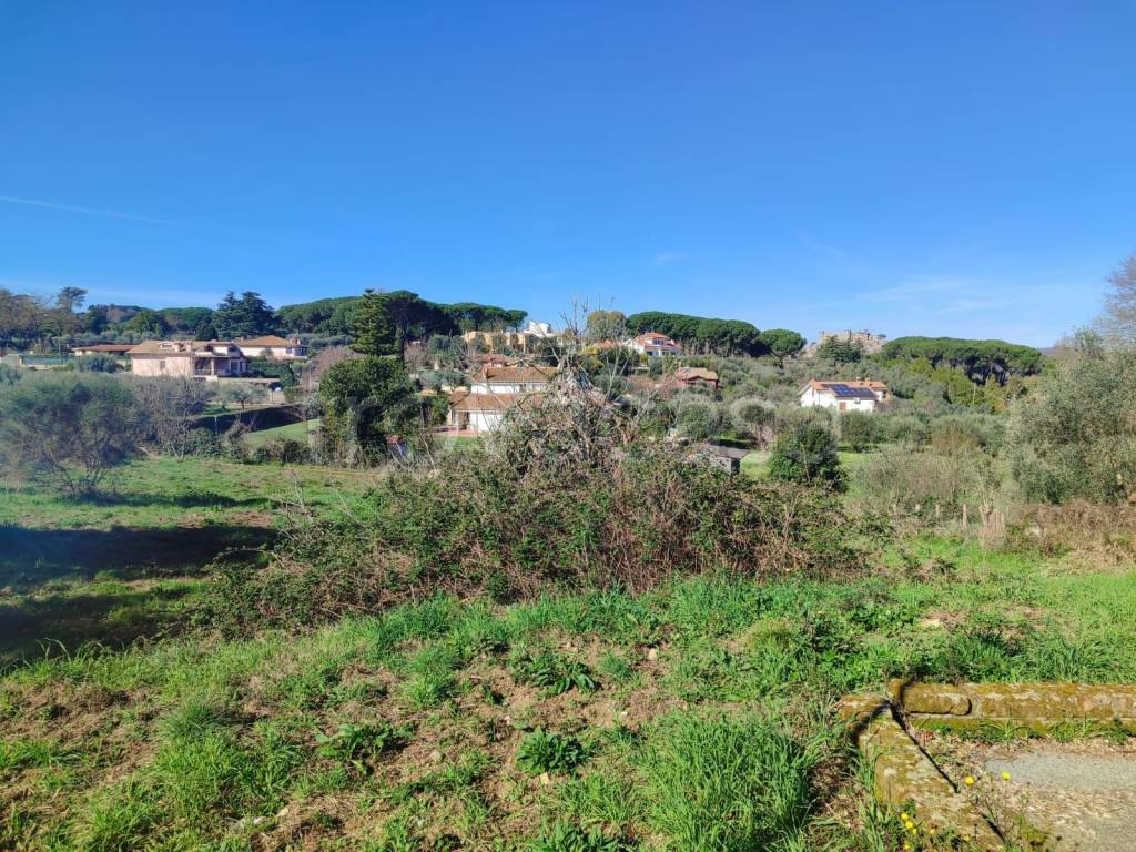 immagine annuncio 3 di 14