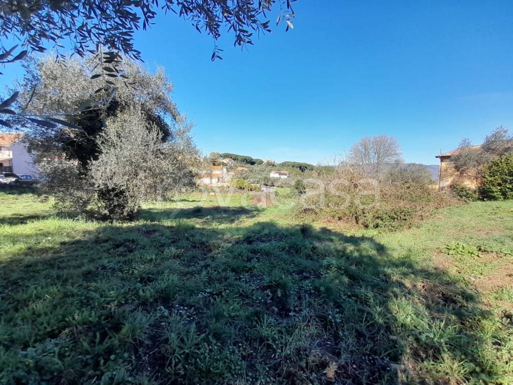 immagine annuncio 2 di 14