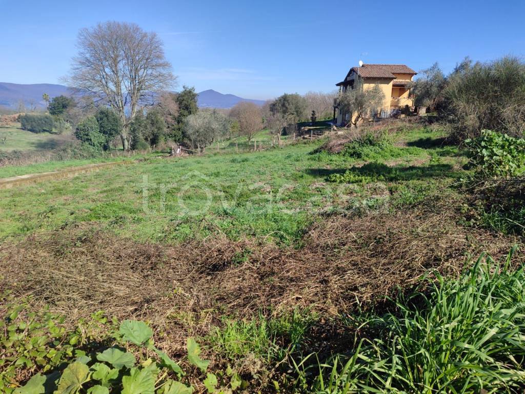 immagine annuncio 11 di 14