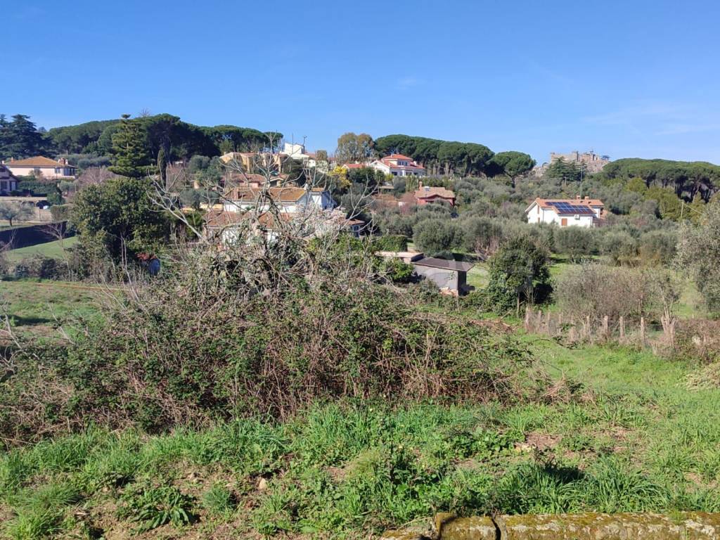 immagine annuncio 12 di 14