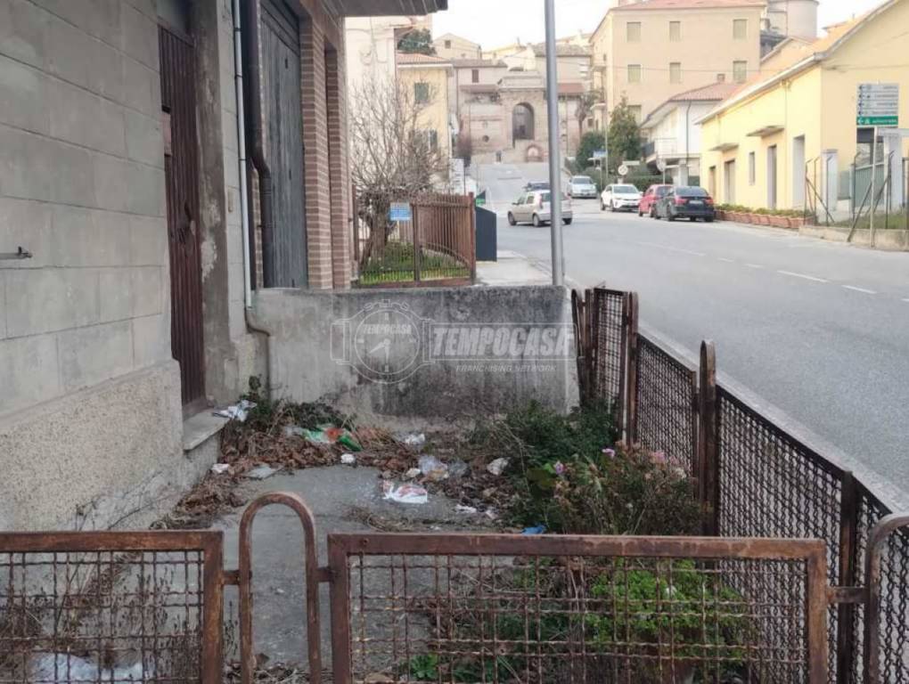immagine annuncio 2 di 14