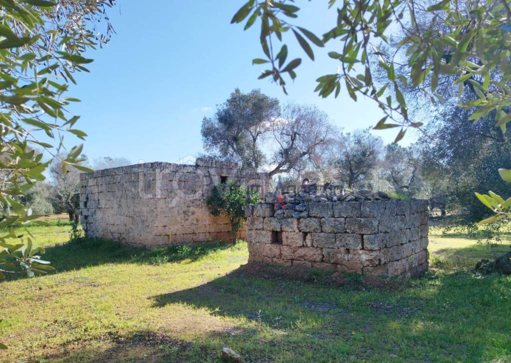 immagine annuncio 1 di 8