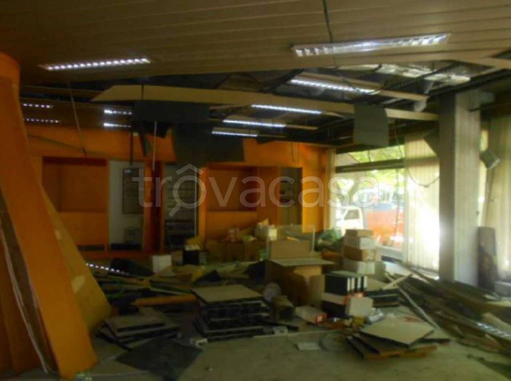 immagine annuncio 1 di 6