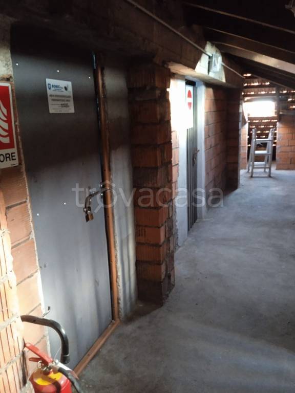 immagine annuncio 10 di 14