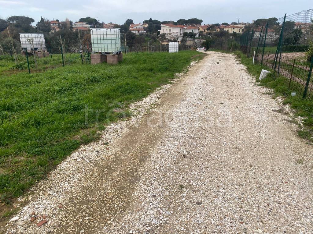 Terreno Agricolo in affitto a Livorno via della Prugnoliccia, 136