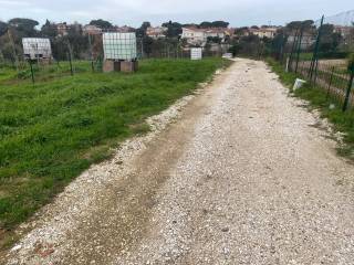 Terreno agricolo in affitto a livorno via della prugnoliccia, 136