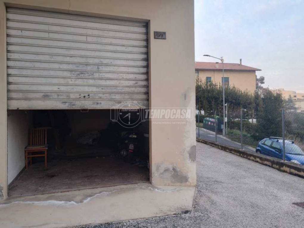 immagine annuncio 11 di 14